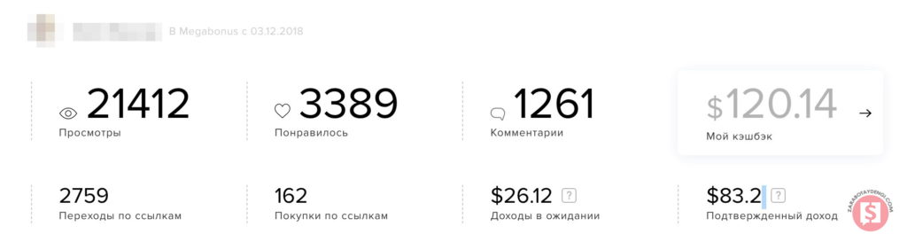 скрин доходов автора1