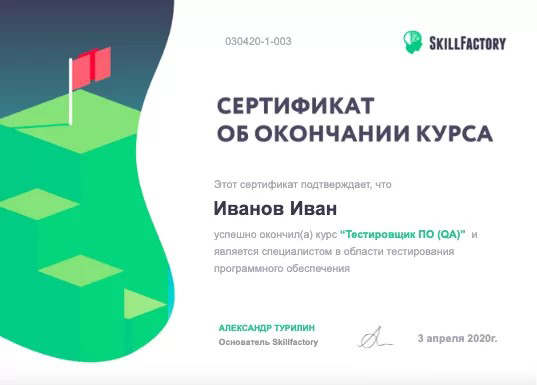 сертификат skillbox